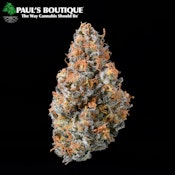 Paul's Boutique | Thai x ECSD Small Bud | 14g [S]