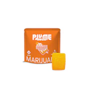 PLUME - ORANGE CREAMSICLE 100 MG PLUME BOOM