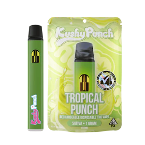 KUSHY PUNCH - Kushy Punch All In One 1g Tropical Punch