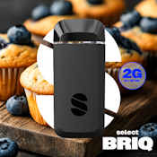 Select | Essentials Briq | Blueberry Muffin | 2g