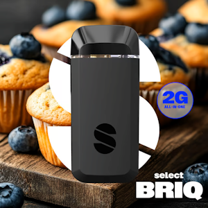 SELECT - Select | Essentials Briq | Blueberry Muffin | 2g