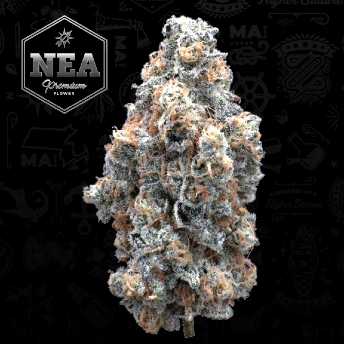 NEA Premium - Hooch | 3.5g NEA Premium | TAX INCLD Main Image
