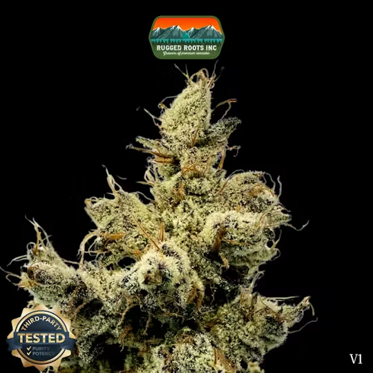 Rugged Roots - Dime Bag | Pineapple Trainwreck Main Image
