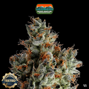  Rugged Roots | Watermelon Gelato | 3.5G