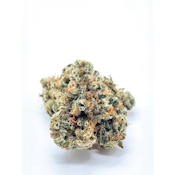 Harbor Harvest | Memory Loss | 3.5g