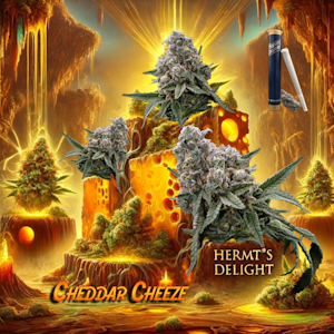 HERMIT'S DELIGHT - HERMIT'S DELIGHT CHEDDAR CHEESE 1 GRAM PRE-ROLL