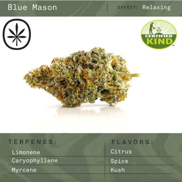 Apothecare - Blue Mason (Pre-Pack Eighth) Main Image