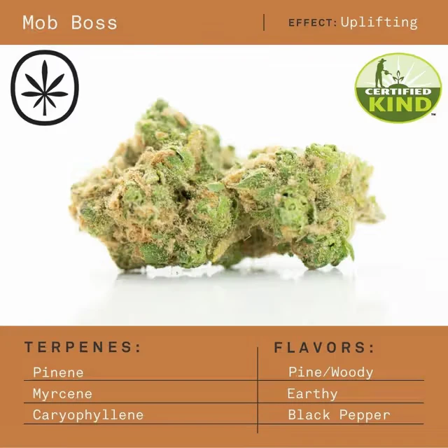 Apothecare - Mob Boss (Pre-Pack Eighth) Main Image