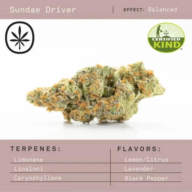Apothecare - Sundae Driver (Pre-Pack Eighth) Main Image