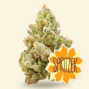3.5g - Spritzer - Indica Dom Hybrid