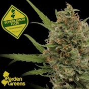 Flower | Buds | Garden Greens | Super Lemon Haze | 3.5g
