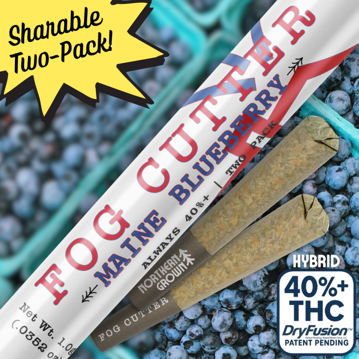 Cannabis Cured - Fogg Cutter | Maine Blueberry | 0.5g Pre-Roll | 2-Pack | 1g Total | Resin Infused | [H] Main Image