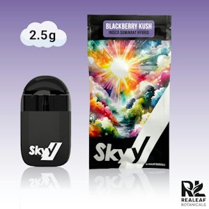 Skyy - Skyy | Disposable | Blackberry Kush | 2.5g