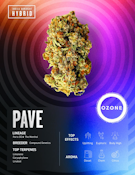 [REC] Ozone | Pave | 1g/1pk Pre Rolls
