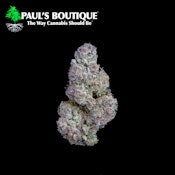 Paul's Boutique | Petrol Potion Small Bud | 14g [I]