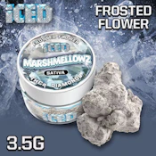 [Iced] Infused Flower - 3.5g - Marshmellowz (S)