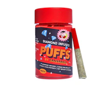 Lemon Cherry Gelato 7pk Infused 0.5g Prerolls - Indica | Cannabals