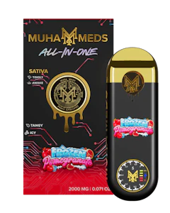 MUHA MEDS - Muha Meds Frozen Pomegranate (S) AIO 1g