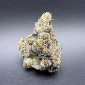 Frosted Fire | Hammered Horses | 28g [I]