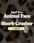 Kind Tree | Animal Face x Sherb Crasher | 7g Flower