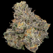 Sherb Cream Pie | 3.5g Craft A Buds | TAX INCLD