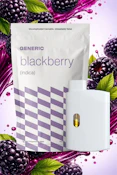 Generic | Disposable | Blackberry | 1g