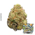 Product Preview Image 2