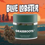 Blue Lobster 3.5g Flower - Hybrid | Grassroots