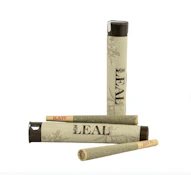 Jungle Gemz - 1g Preroll