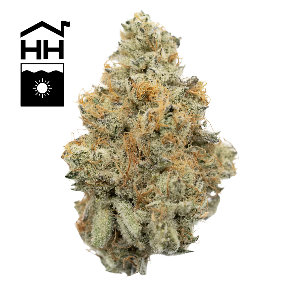 Harbor House Collective - Albariño | [3.5g] Main Image
