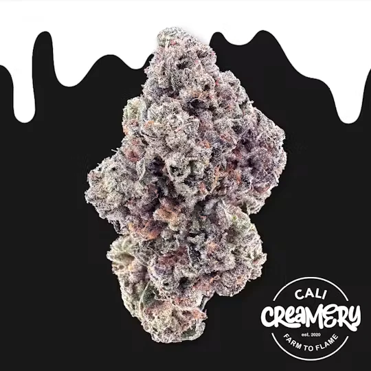 Cali Creamery - Cali Creamery | Indoor Flower | Kut Throat | 3.5g Main Image