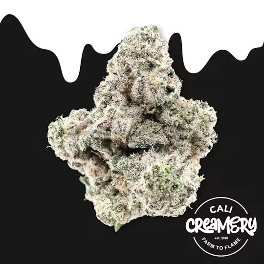 Cali Creamery - Cali Creamery | Indoor Flower | Wild Cherries | 3.5g Main Image