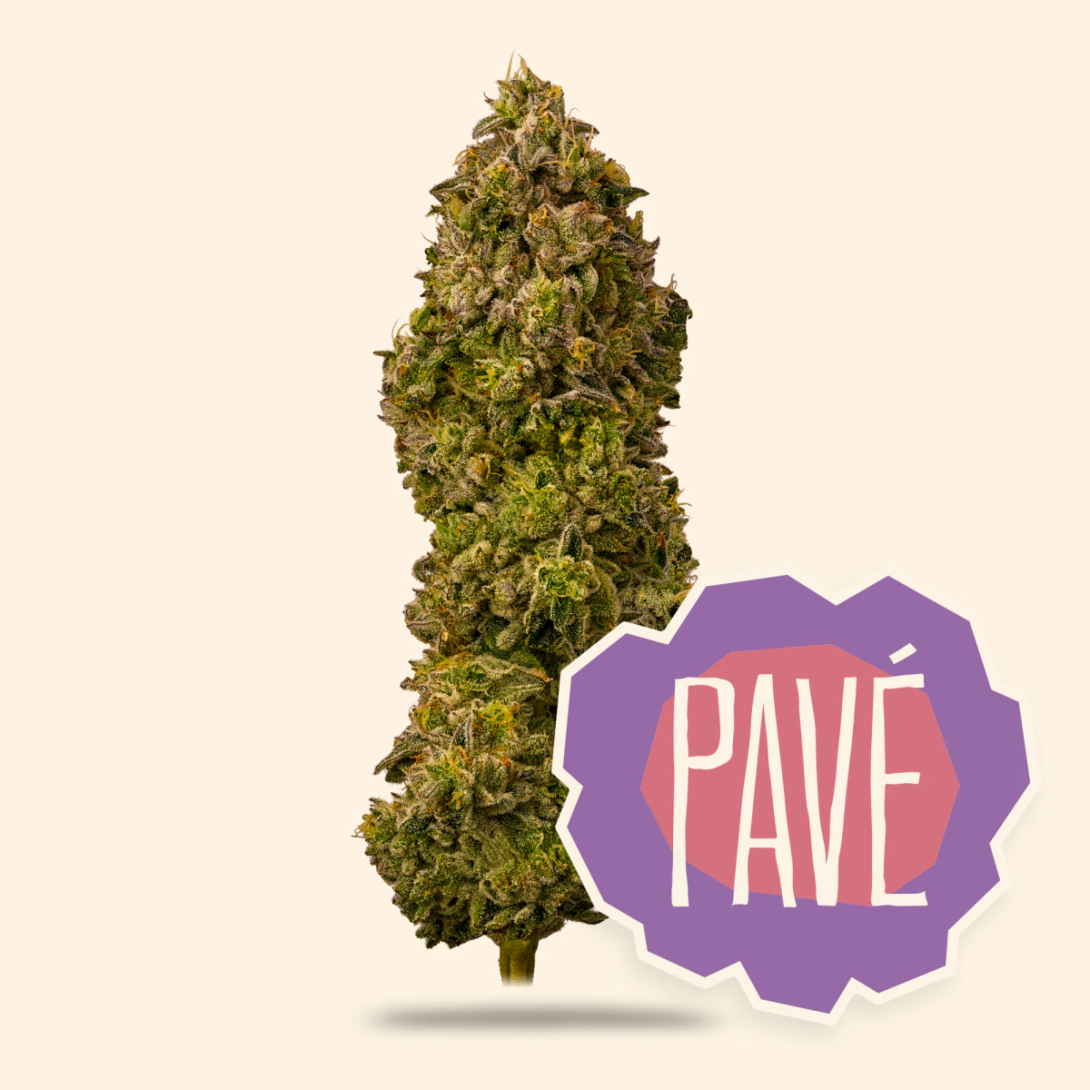 District Cannabis - 14g Pave - Small Nugs - Hybrid - Untrimmed  Main Image