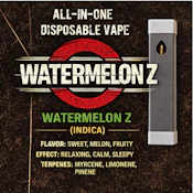 Watermelon Z | 1g Disposable Vape | TAX INCLD