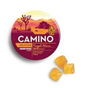 Camino - Uplifting Pineapple Habanero - Gummy - 20 x 5mg