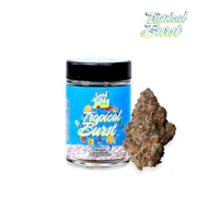 Seed Junky Genetics - 7g Bigs - Tropical Burst