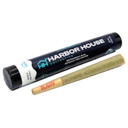 Orange 43  | Single Pre-Roll | [1g]
