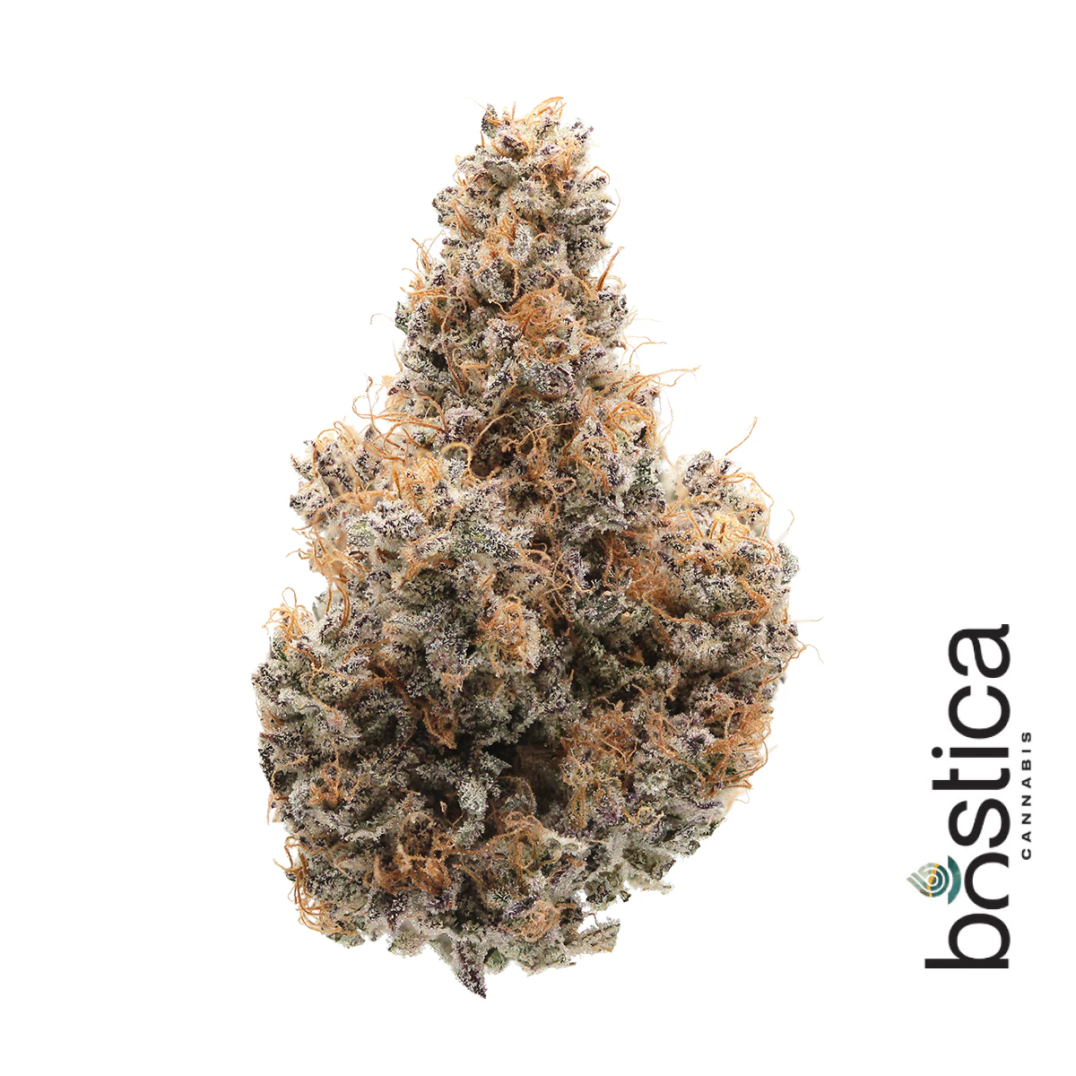 Bostica - Purple Starfruit | [3.5g] Main Image