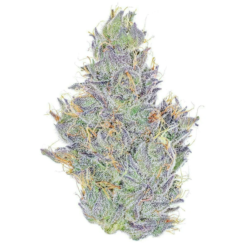Fig Farms - Koala Crack - 3.5g (SH) - Fig Farms Main Image