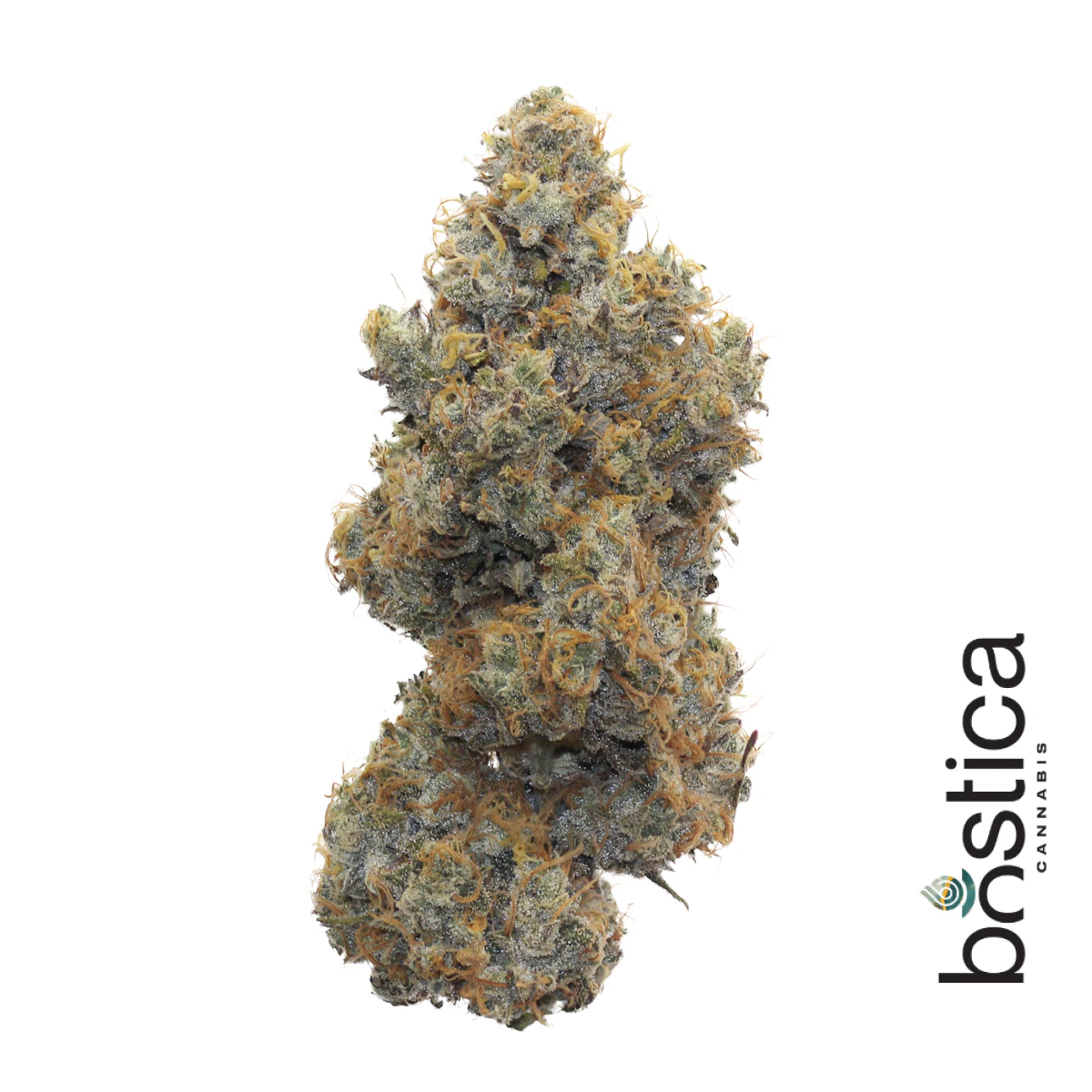 Bostica - | Moose & Lobsta | [3.5g] Main Image