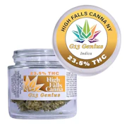 HIGH FALLS CANNA | G13 GENIUS | 3.5G Flower