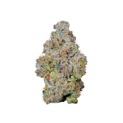 JUICI - 3.5g (H) - Connected