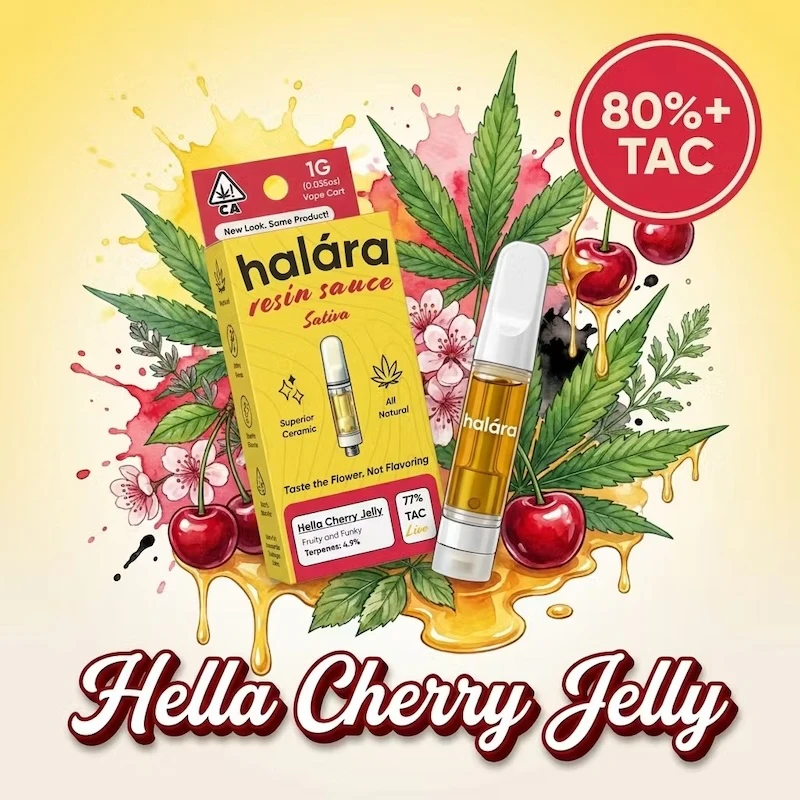 Halara - Hella Cherry Jelly - Live Diamonds Sauce - 1g (S) - Halara Main Image