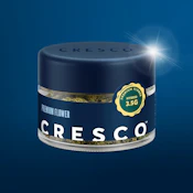 Cresco | Premium Flower | Billy Ocean | 3.5g