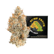 Team Elite Genetics | Dump Truck | Pre-Pack | [3.5g] | Indica