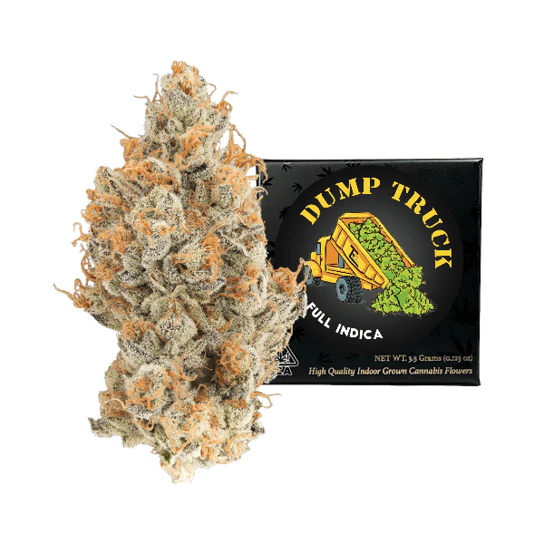 Team Elite Genetics - Team Elite Genetics | Dump Truck | Pre-Pack | [3.5g] | Indica Main Image
