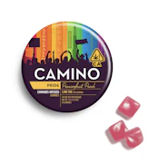 Camino - 'Pride' Passionfruit Punch - Gummy - 20 x 5mg