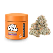 Pandora's Box | Premium Flower | 7g