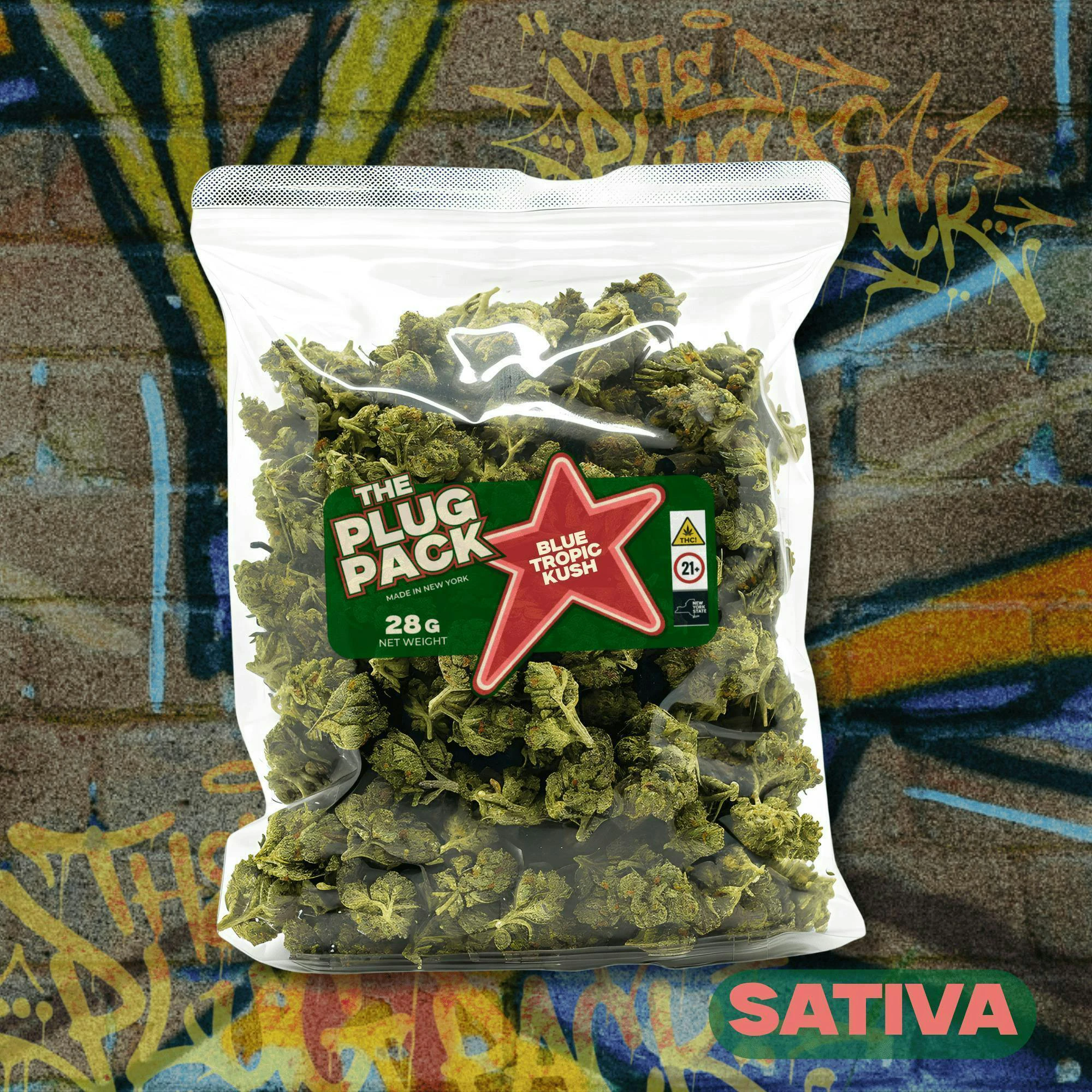 The Plug Pack - Blue Tropic Kush - 28g Flower Main Image