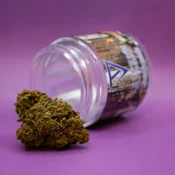 Terpene Alchemy - Purple Papaya Runtz - Flower - 3.5g